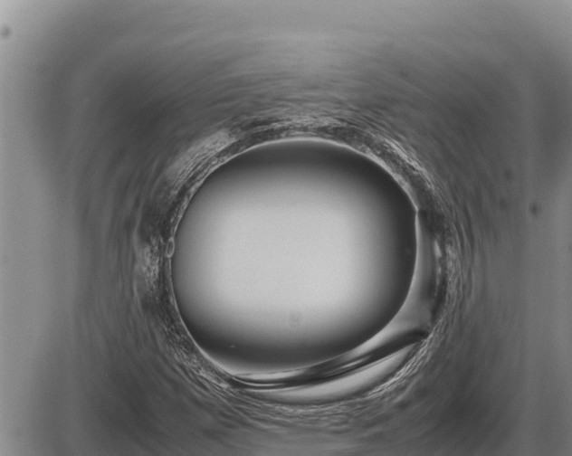 X0000087421257200704271728