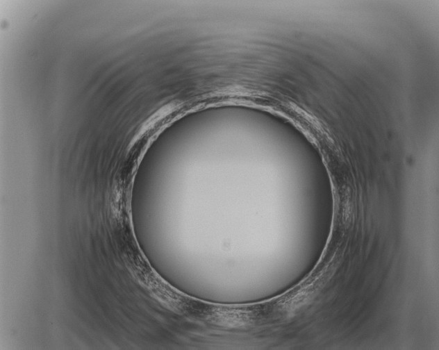 X0000087421258200704271728