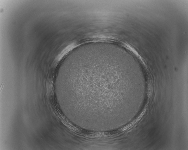 X0000087421259200704271728