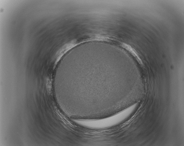 X0000087421260200704271728