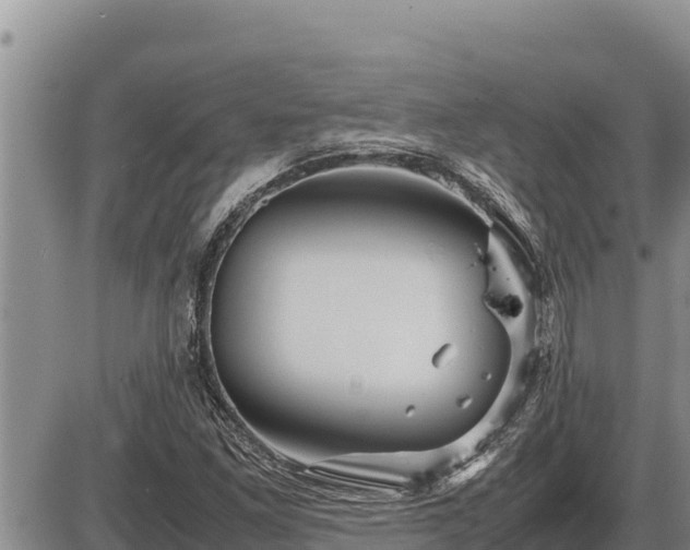 X0000087421261200704271728