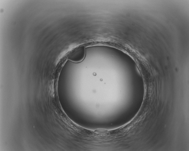 X0000087421262200704271728