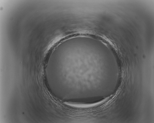 X0000087421263200704271728