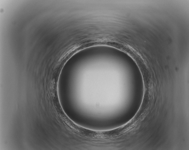 X0000087421265200704271728