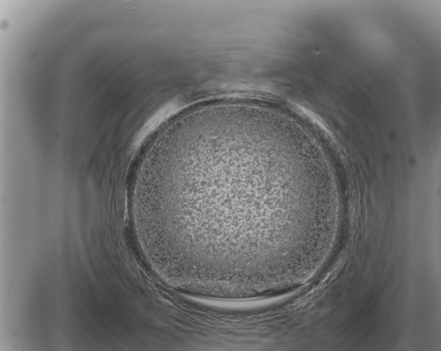 X0000087421267200704271728