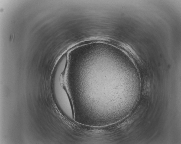 X0000087421268200704271728