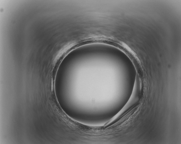 X0000087421269200704271728