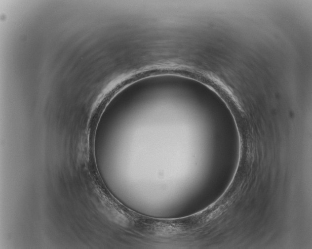 X0000087421270200704271728