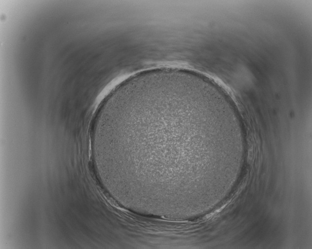 X0000087421271200704271728