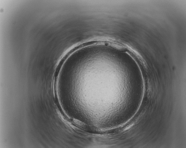 X0000087421272200704271728