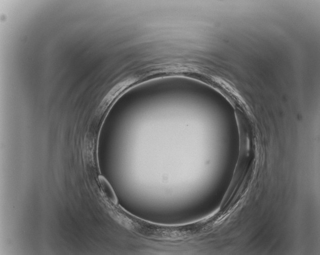 X0000087421273200704271728