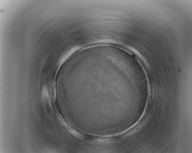 X0000087421274200704271728