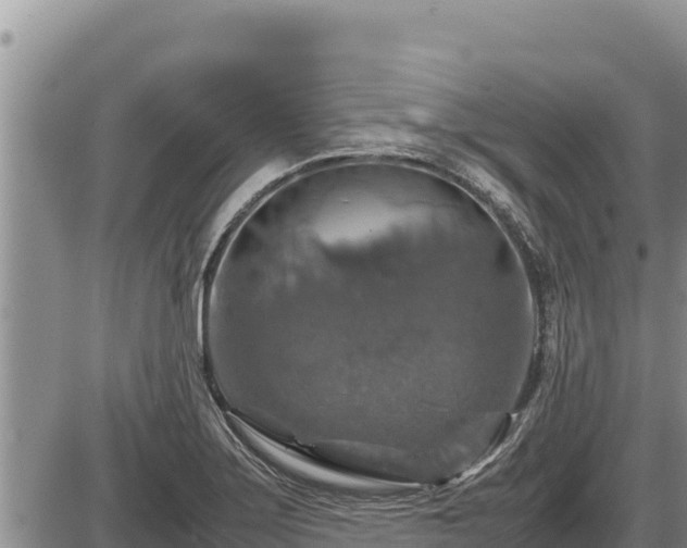 X0000087421275200704271728