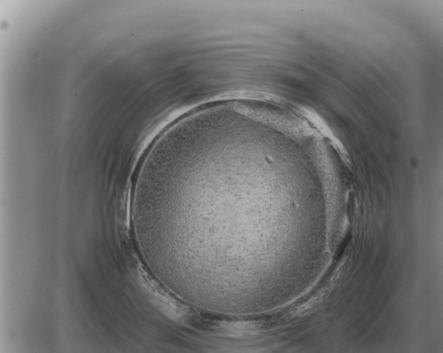 X0000087421276200704271728