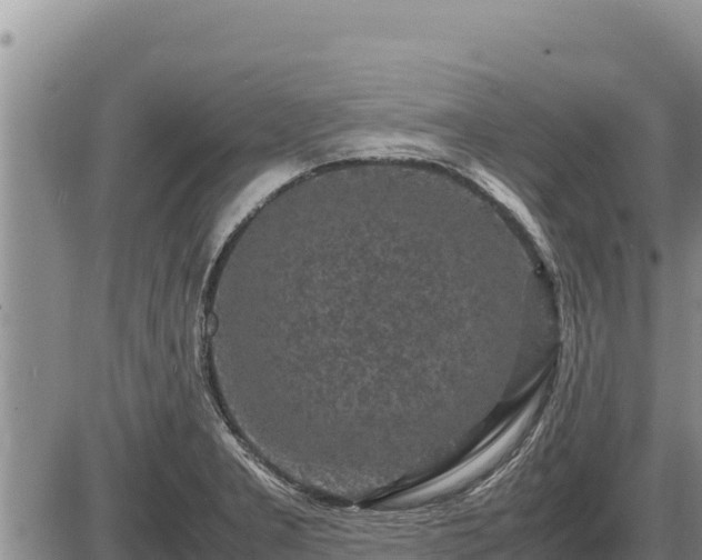 X0000087421277200704271728