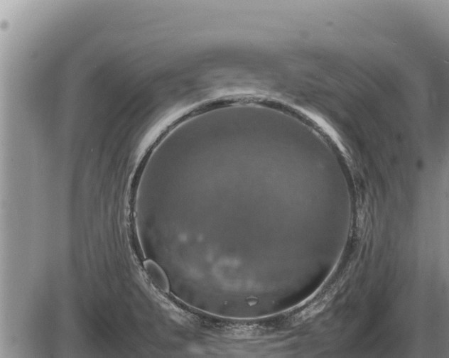 X0000087421279200704271728