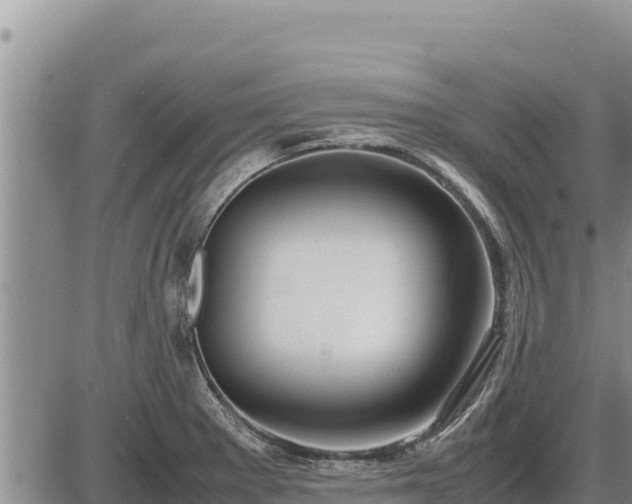 X0000087421281200704271728