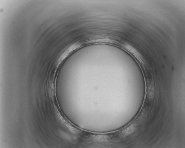 X0000087421282200704271728