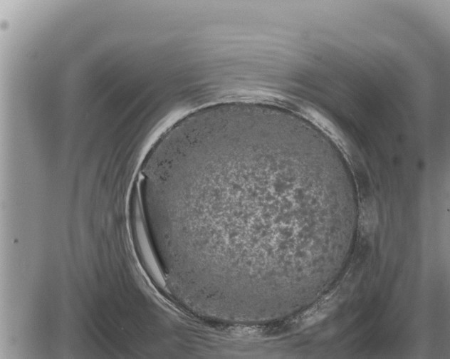 X0000087421283200704271728