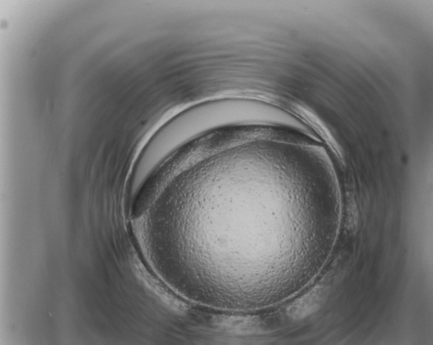 X0000087421284200704271728