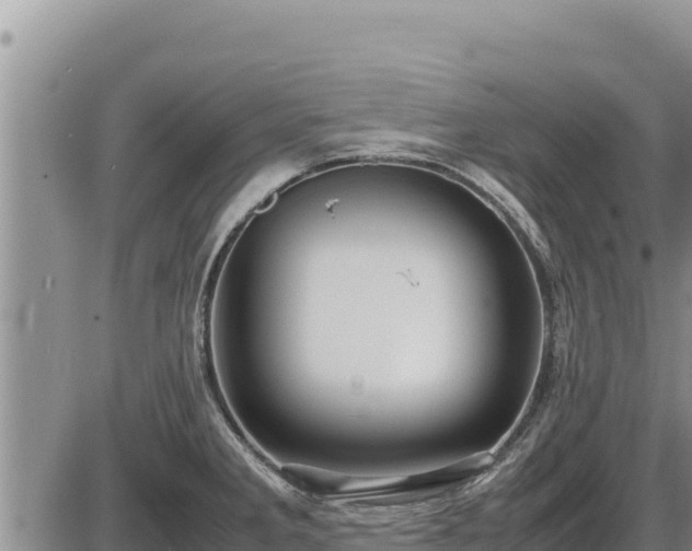 X0000087421285200704271728