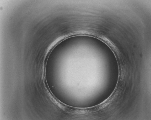 X0000087421286200704271728