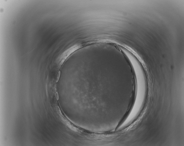 X0000087421289200704271728