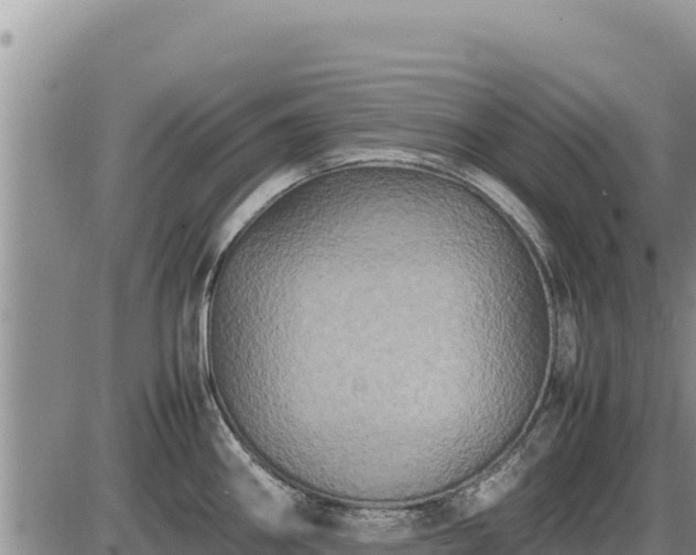 X0000087421290200704271728