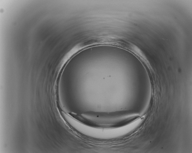 X0000087421291200704271728