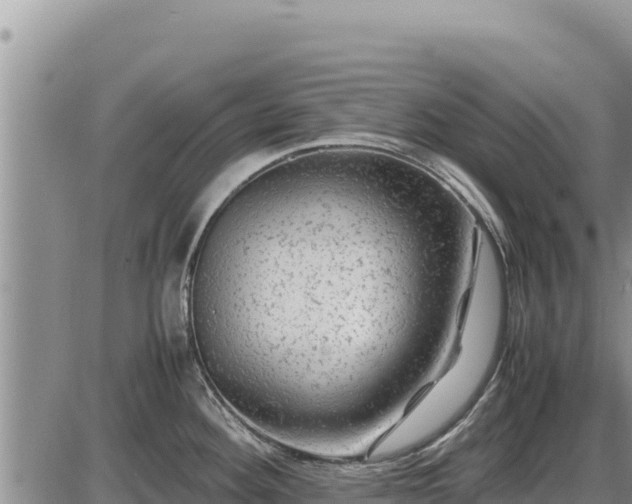 X0000087421292200704271728