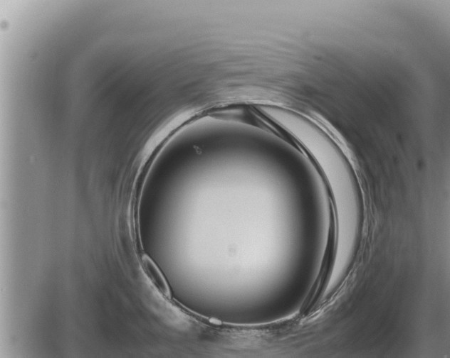 X0000087421293200704271728