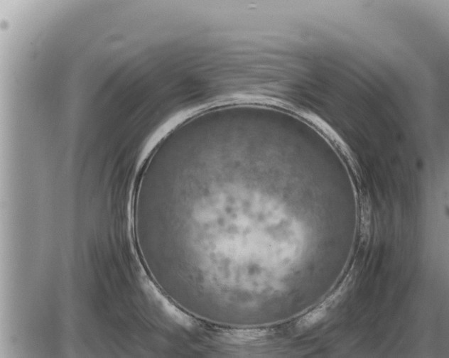 X0000087421294200704271728