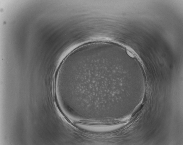 X0000087421295200704271728