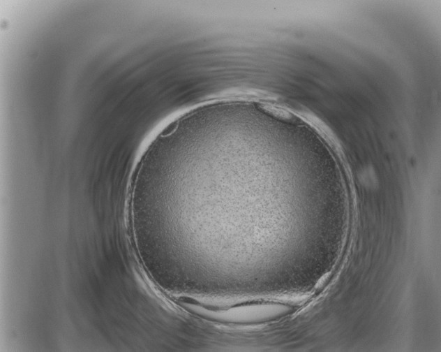 X0000087421296200704271728