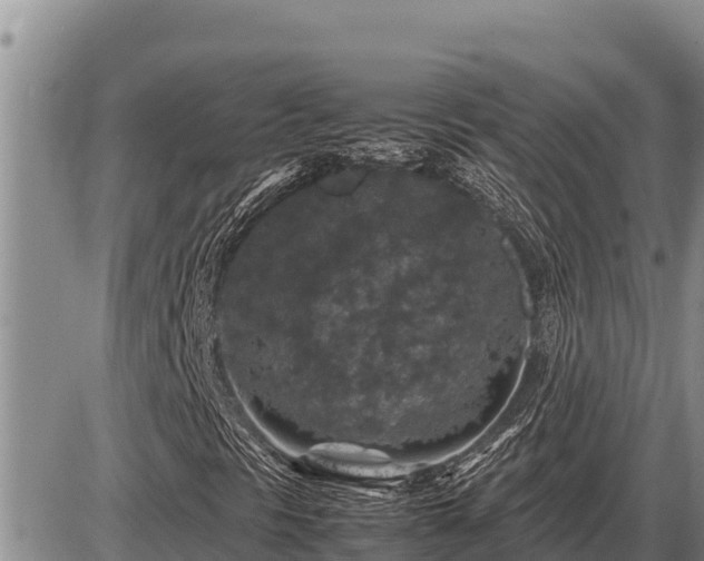 X0000087421297200704271727