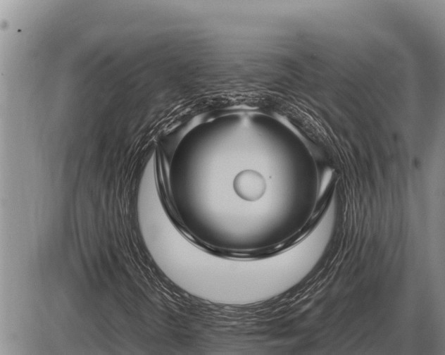 X0000087421298200704271727