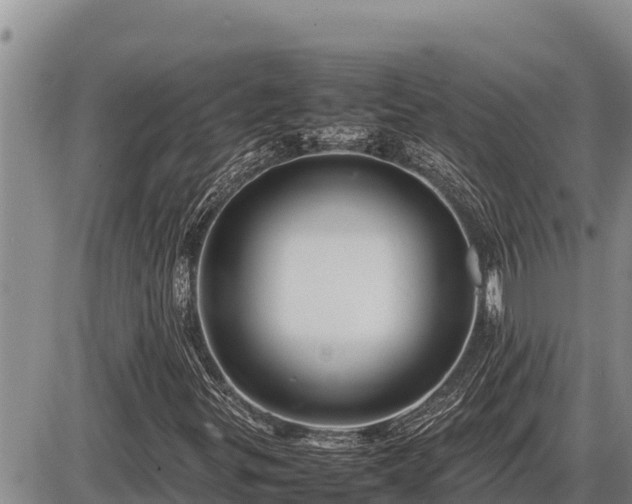 X0000087421299200704271727