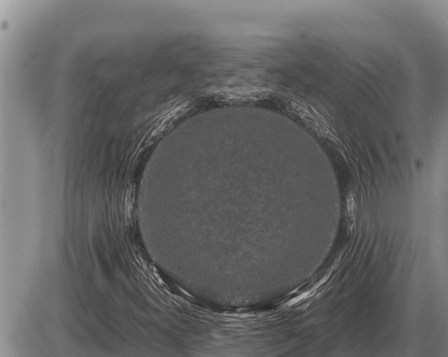 X0000087421300200704271727