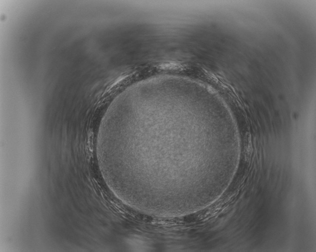 X0000087421301200704271727