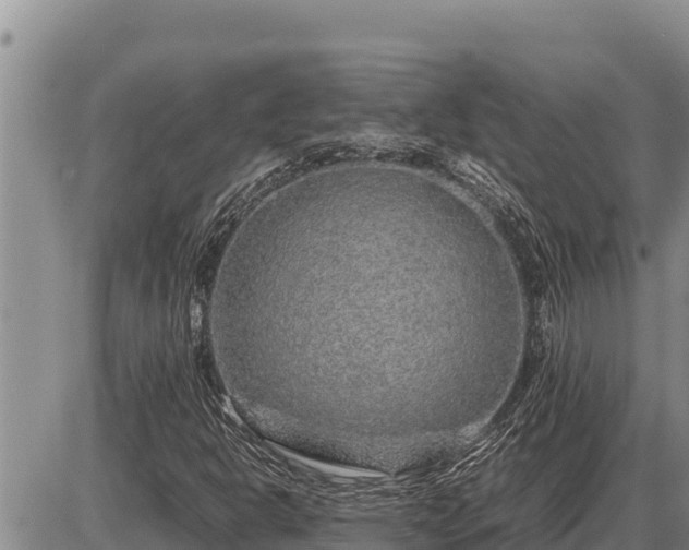 X0000087421302200704271727