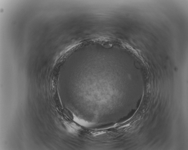 X0000087421303200704271727