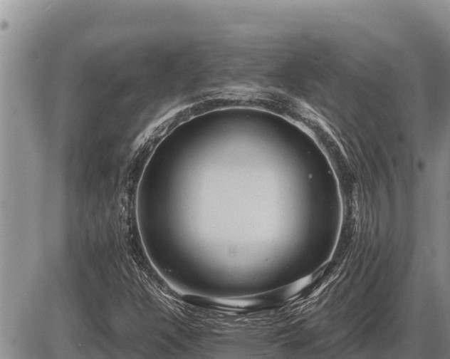 X0000087421304200704271727