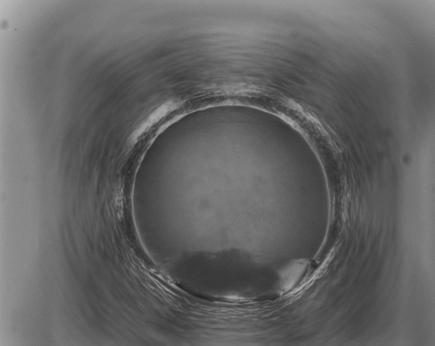 X0000087421306200704271727