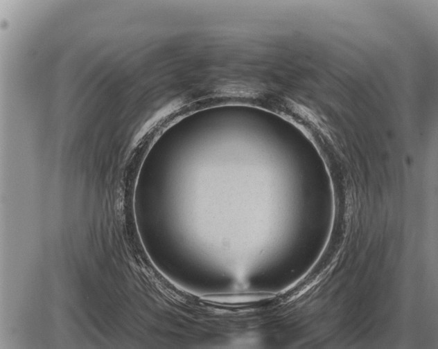 X0000087421307200704271727