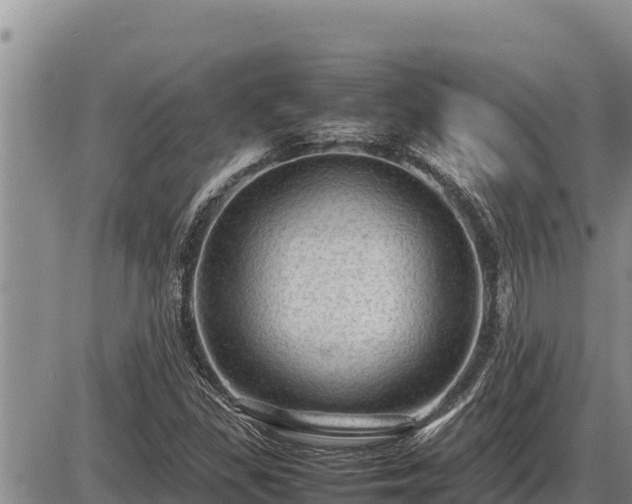 X0000087421309200704271727