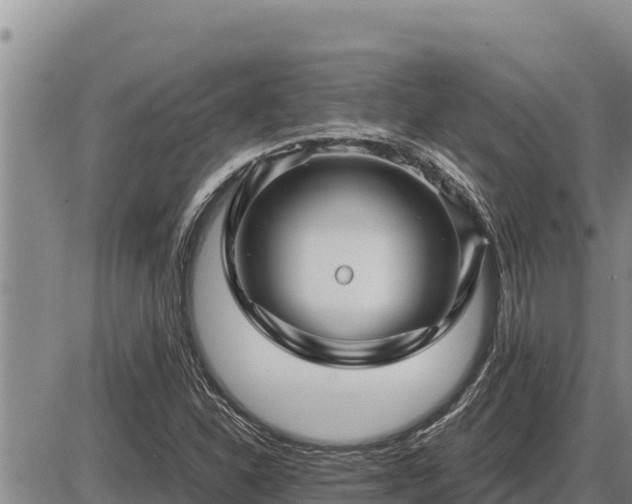 X0000087421310200704271727