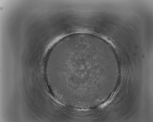 X0000087421311200704271727