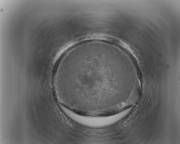 X0000087421312200704271727