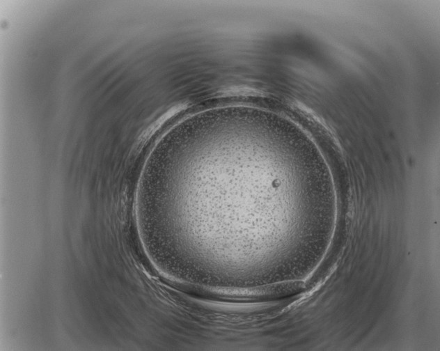 X0000087421313200704271727