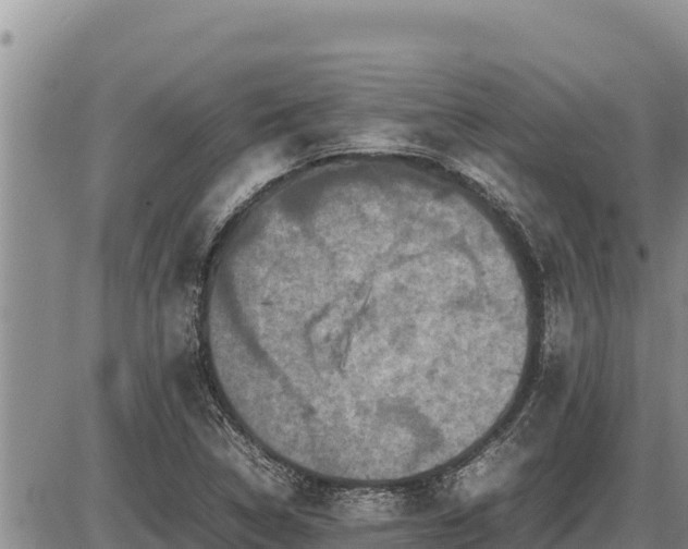 X0000087421314200704271727